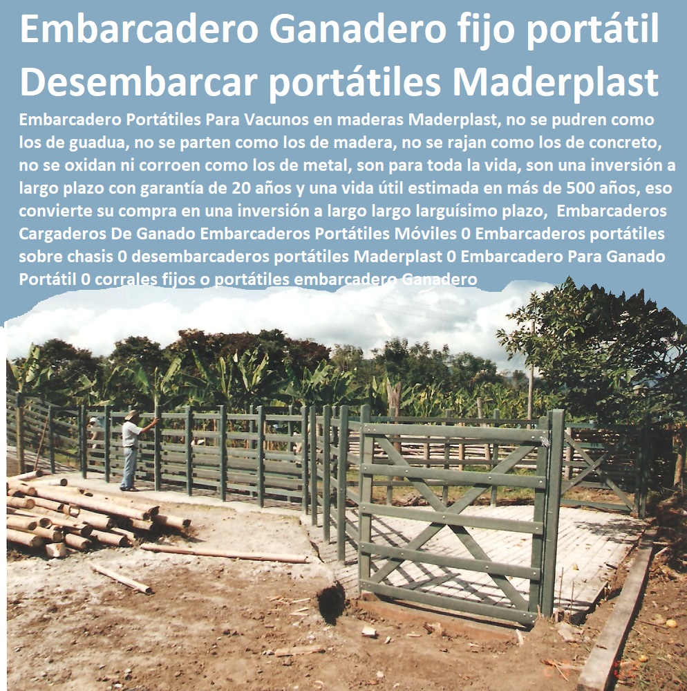 Manga Embarcadero Apretaderos Calcetas Maderplast Corral de trabajo ganadero 0 Partes de Un Corral Para Ganado 0 Instalaciones Para Ganado Lechero Estabulado 0 Comederos y Bebederos de Concreto Para Ganado 0 Diseños Corrales gando Manga Embarcadero Apretaderos Calcetas Maderplast Corral de trabajo ganadero 0 Partes de Un Corral Para Ganado 0 Instalaciones Para Ganado Lechero Estabulado 0 Comederos y Bebederos de Concreto Para Ganado 0 Diseños Corrales ganado Explotación Ganadera Automatizada, Sistemas de Pastoreo, Estabulación de Ganado, Pastoreo Intensivo, Establos, Corrales, Saladeros, Comederos, Cerramientos, Postes, Ganaderías Tecnificadas, Ganaderías Tecnificadas, 